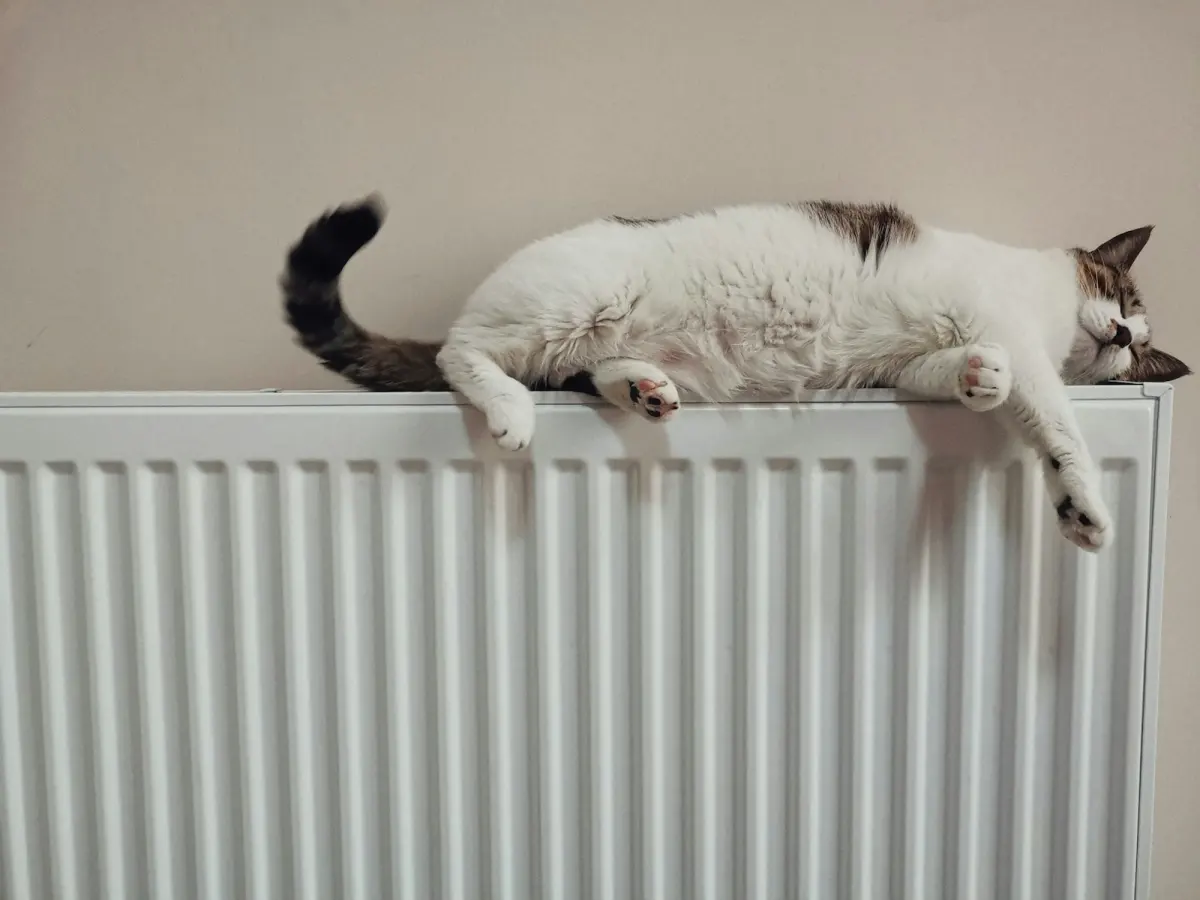 Energie besparen tips: wat werkt écht thuis