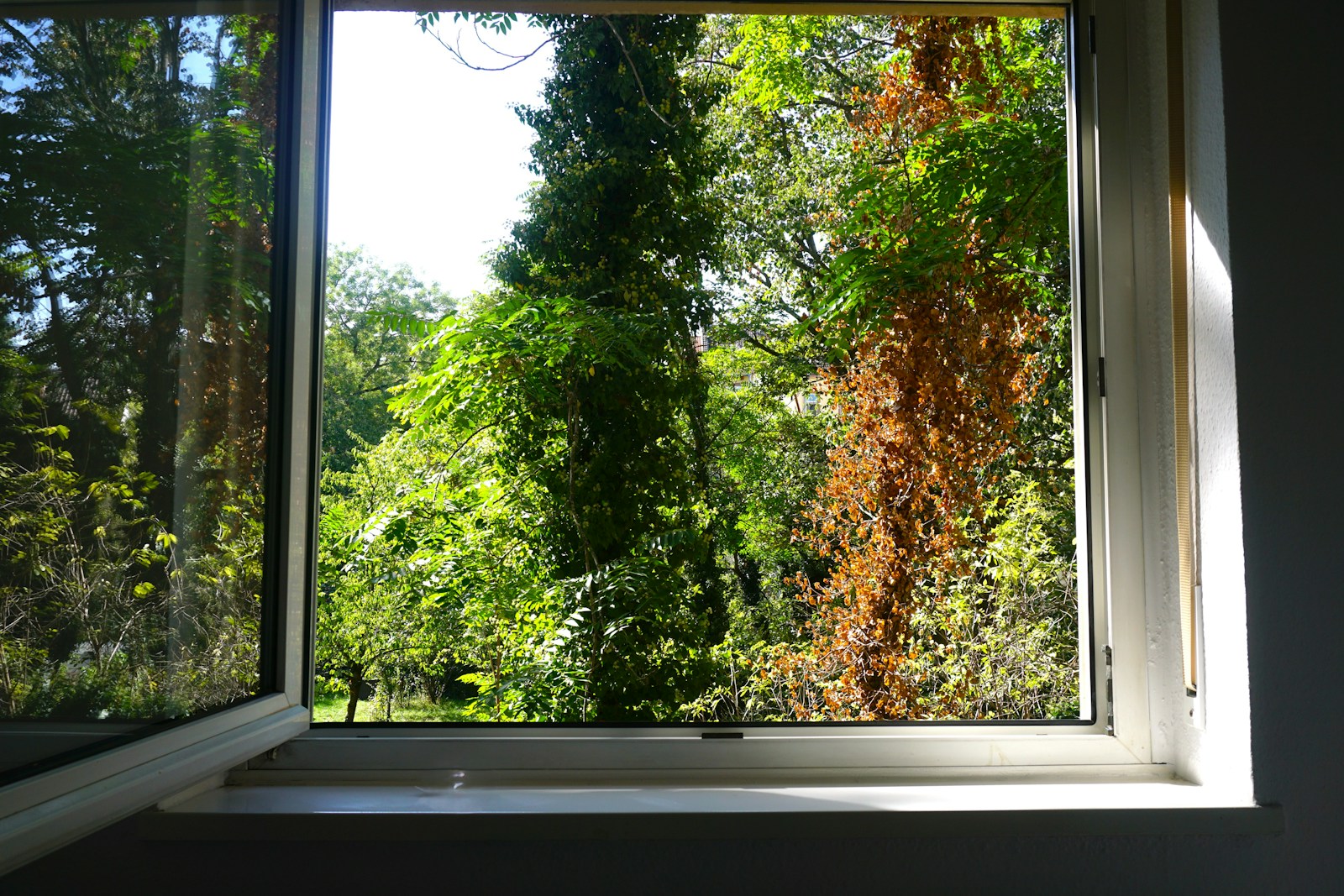 HR++ Glas: Kosten, Besparing en Subsidie in 2026